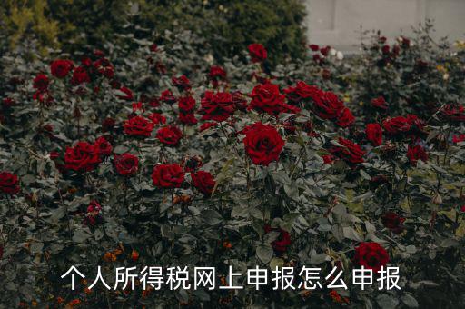 福建個(gè)人納稅如何申報(bào)，個(gè)人所得稅網(wǎng)上申報(bào)怎么申報(bào)
