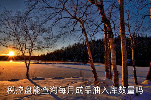 成品油明細(xì)如何導(dǎo)入金稅盤，稅控盤能查洵每月成品油入庫(kù)數(shù)量嗎