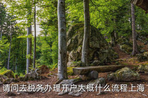 如何辦理稅務(wù)開戶，請問去稅務(wù)辦理開戶大概什么流程上海