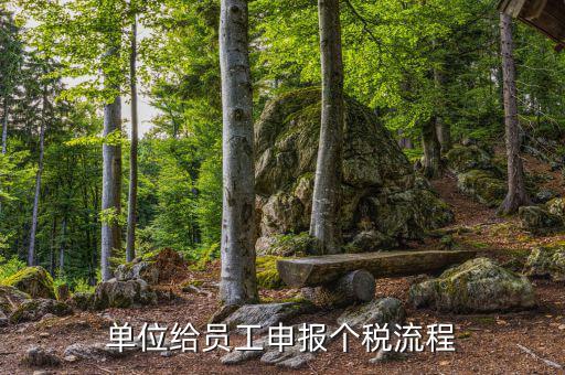 江蘇職工個(gè)稅如何申報(bào)，申報(bào)個(gè)稅的流程怎么操作