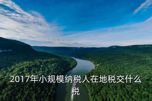 2017年土地稅如何征收，2017年小規(guī)模納稅人在地稅交什么稅