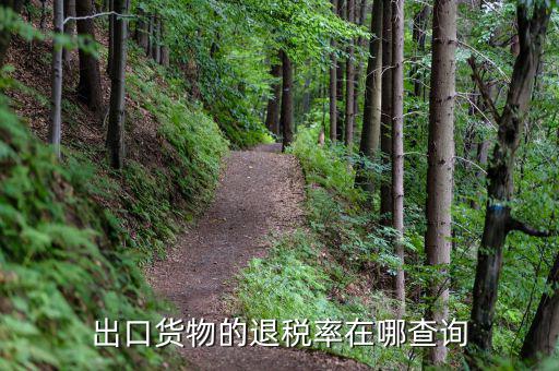 如何查產(chǎn)品的出口退稅，出口貨物的退稅率在哪查詢