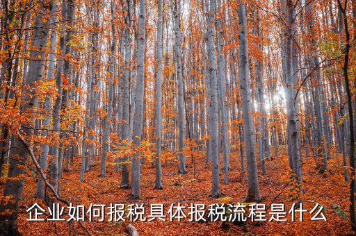 寧夏如何報(bào)稅，2021銀川市個(gè)體戶(hù)報(bào)稅怎么操作流程