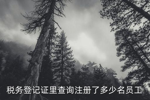 如何查詢公司辦稅人有誰，稅務(wù)登記證里查詢注冊(cè)了多少名員工