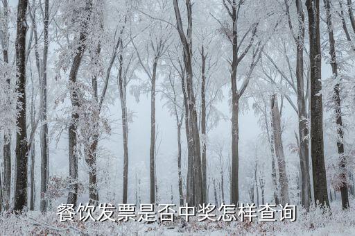 稅票中獎查詢?nèi)绾尾樵?，餐飲發(fā)票是否中獎怎樣查詢