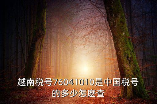 中國如何查個人稅號，越南稅號76041010是中國稅號的多少怎麼查
