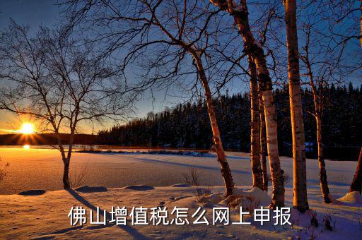 佛山地稅如何網(wǎng)上申報，佛山增值稅怎么網(wǎng)上申報