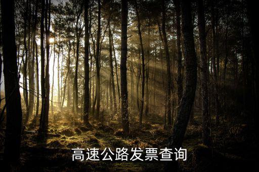 如何知道道路發(fā)票幾級，汽車的增值稅發(fā)票怎么看