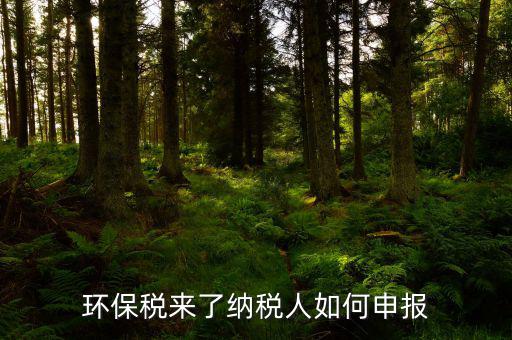 環(huán)境保護(hù)稅為0如何申報(bào)，每個(gè)月怎么0申報(bào)啊立即申報(bào)點(diǎn)不了灰色的