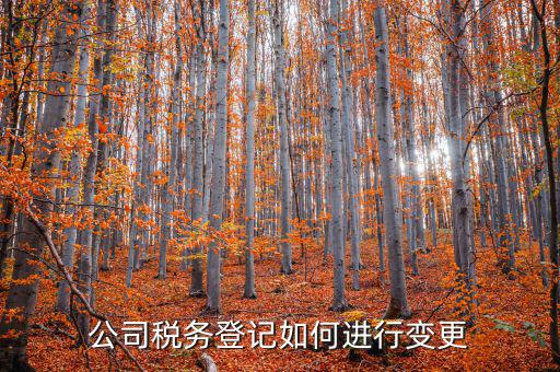 如何變更所得稅稅務備案，公司稅務登記如何進行變更