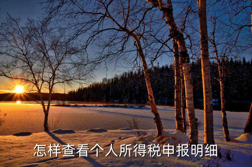 如何查詢個人所得稅明細(xì)申報，怎樣查看個人所得稅申報明細(xì)