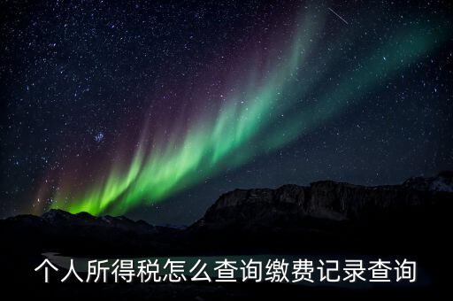 金稅三期個(gè)人所得稅如何查詢，個(gè)人所得稅怎么查詢繳費(fèi)記錄查詢