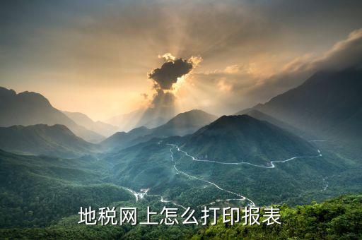 地稅如何網(wǎng)上登記表，怎樣填寫地稅納稅網(wǎng)上申報表我已經(jīng)交過稅金了在網(wǎng)上申報該怎樣
