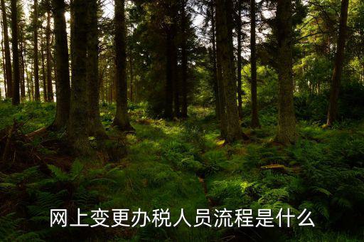 四川如何在網(wǎng)上變更辦稅人員，網(wǎng)上變更辦稅人員流程是什么