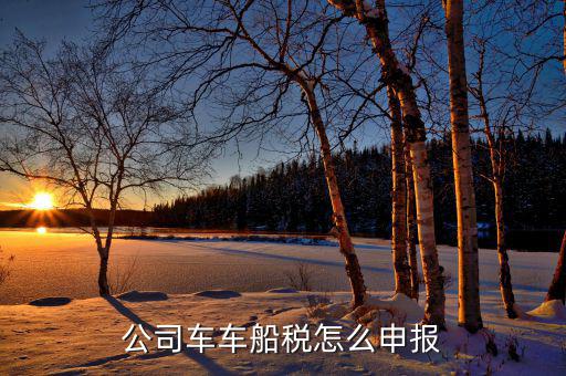 單位汽車的車船稅如何申報，公司車車船稅怎么申報