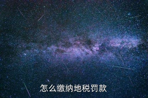 納稅行政處罰如何辦理，稅收行政處罰簡易程序適用條件是什么