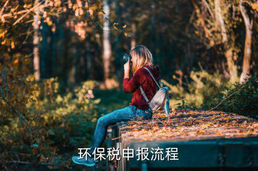 噪聲如何填寫(xiě)環(huán)保稅，環(huán)保稅如何申報(bào)