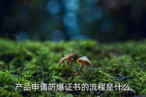 如何辦理防爆用地，產(chǎn)品辦理防爆認(rèn)證流程有哪些