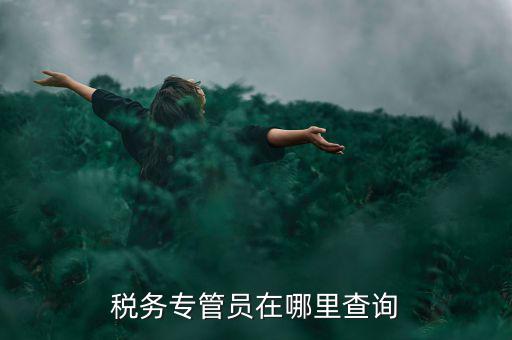 北京如何查詢稅務(wù)專管員，如何在網(wǎng)上查詢國稅專管員