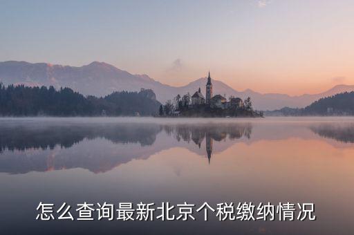 北京市 欠稅人員如何查詢，稅務欠稅信息如何查詢