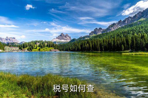 國際企業(yè)稅號如何查詢，老外要公司稅號他怎么查呢