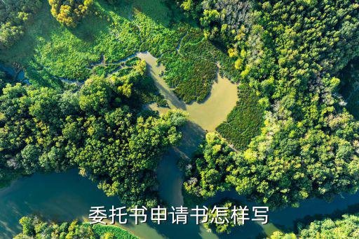 委托代征管理的申請如何寫，委托書申請書怎樣寫