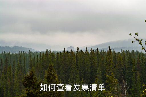 如何查詢發(fā)票明細表，如何查看發(fā)票清單