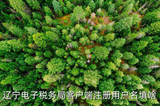 如何注冊(cè)社保電子稅務(wù)局賬號(hào)，遼寧電子稅務(wù)局客戶(hù)端注冊(cè)用戶(hù)名填啥