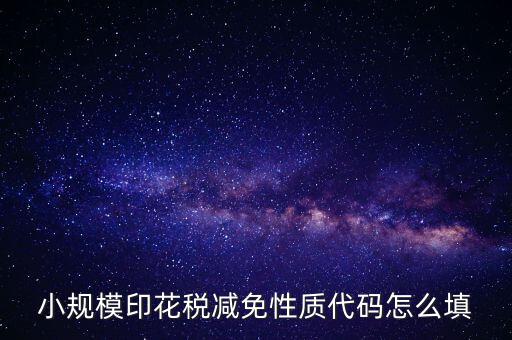 印花稅減免額 如何填寫，六稅兩費印花稅減半怎么申報