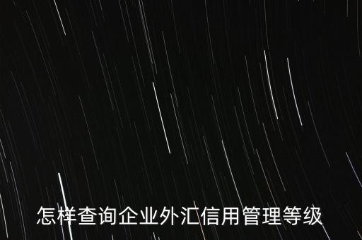 怎樣查詢(xún)企業(yè)外匯信用管理等級(jí)