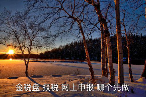 金稅盤如何網(wǎng)上申報，求金稅盤如何在電腦上報稅操作流程
