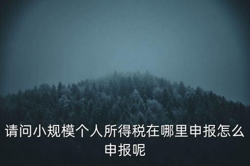 如何申報自然人兩處所得，請問小規(guī)模個人所得稅在哪里申報怎么申報呢
