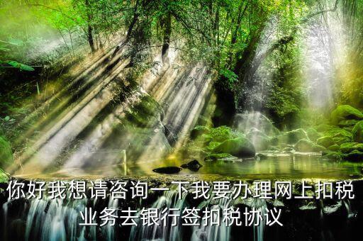 如何辦理稅庫銀，去稅務(wù)局辦理稅控盤需要什么資料流程怎么走呢