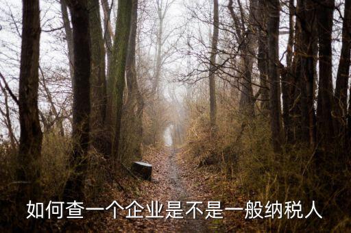 如何查是否一般納稅人，怎么確認(rèn)一家單位是不是一般納稅人