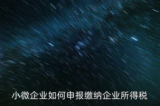 小企業(yè)如何繳納所得稅，小規(guī)模企業(yè)所得稅怎么交納