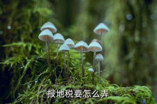 北京地稅存貨損失如何申報，北京的國稅和地稅的年報怎么做具體在網(wǎng)上什么位置以及流程有木