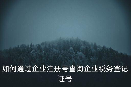 如何查詢公司稅務(wù)編號(hào)查詢系統(tǒng)，公司的稅務(wù)登記證號(hào)怎么查詢