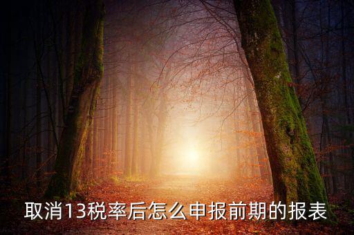 取消13稅率申報表如何填，13的稅率沒了納稅申報以后怎么辦