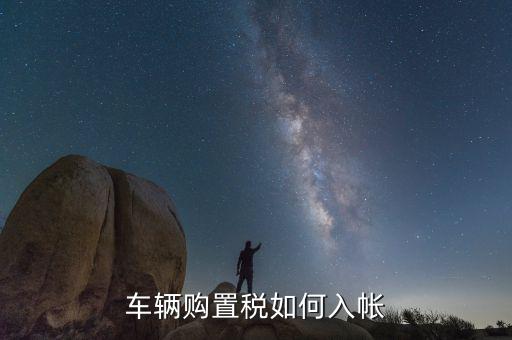 車購稅如何入賬，車輛購置稅如何入帳