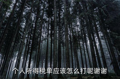 如何打印個人所得稅清單，請問如何打印個人個人所得稅繳款單據(jù)