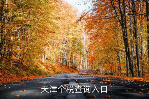 天津個(gè)稅如何查詢密碼，天津個(gè)稅查詢?nèi)肟?/></a></span><span id=