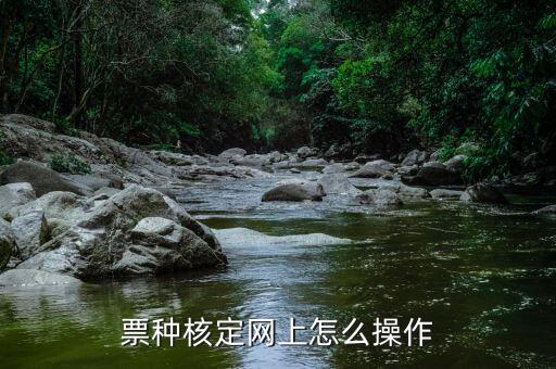 如何做票總核定，網(wǎng)上票種核定怎么操作