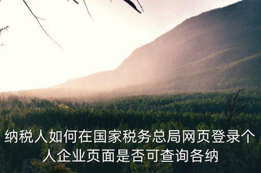 如何上國(guó)稅網(wǎng)查納稅人信息查詢，怎樣查詢國(guó)稅繳稅信息