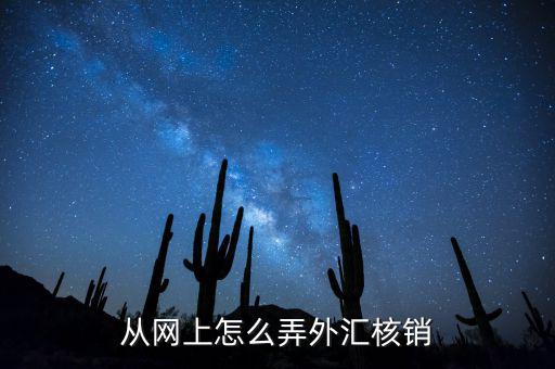 如何在網(wǎng)上核銷外經(jīng)證，電子外經(jīng)證核銷流程誰能告訴我