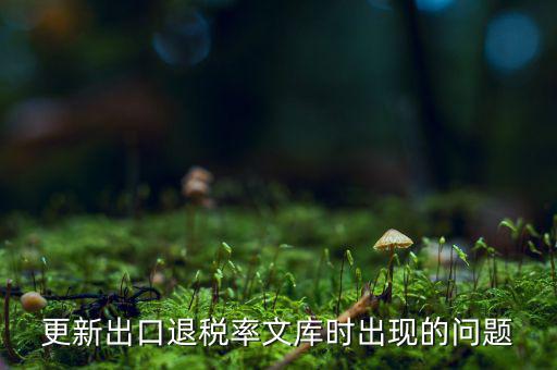 出口退稅文庫如何更新，請問各位出口退稅系統(tǒng)里的代碼庫怎么更新啊怎么老沒反應(yīng)的呢