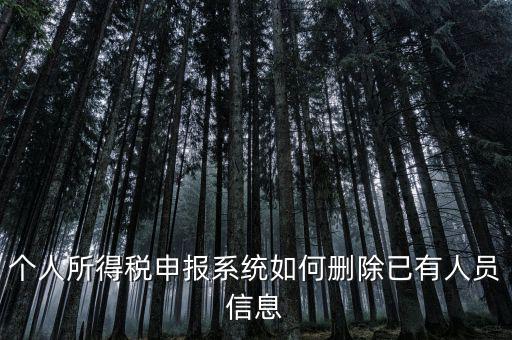 金三系統(tǒng)個稅申報人員如何刪除，如何刪掉個人所得稅人員信息
