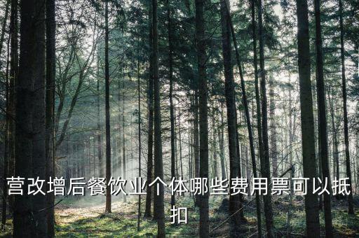 餐飲業(yè)如何抵扣，餐飲業(yè)無法向個人消費(fèi)者開具增值稅專用發(fā)票那怎么抵扣進(jìn)項稅