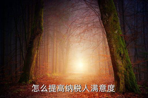 如何提升納稅人獲得感，怎么提高納稅人滿意度