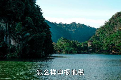 地方稅務局如何申報，地稅怎么申報