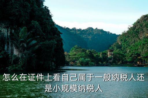 如何證明是一般納稅人，一般納稅人證明是什么